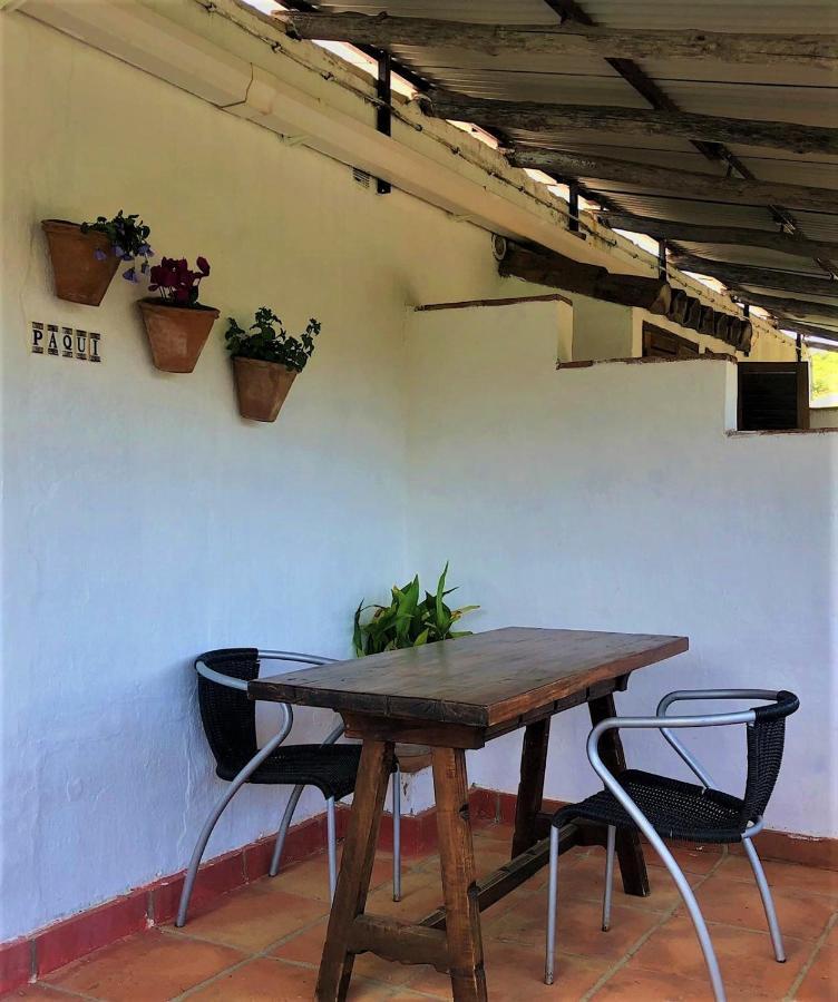 La Rana Apartment Cortes de la Frontera