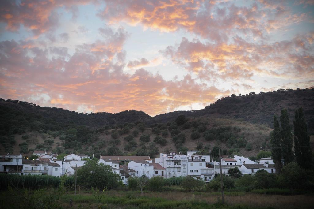 La Rana